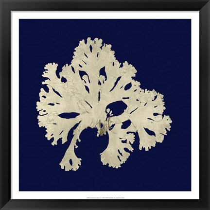 Framed Seaweed on Navy IV Print