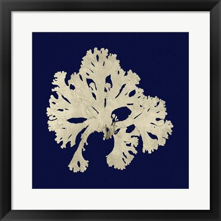 Framed Seaweed on Navy IV Print