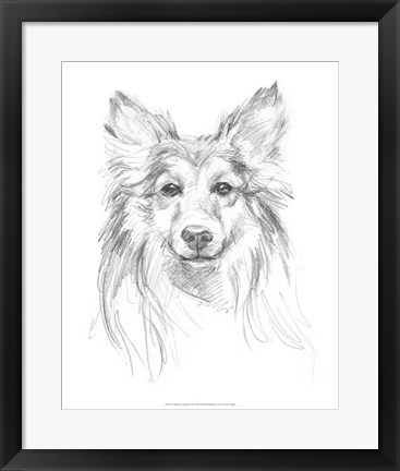 Framed Constant Companion II Print