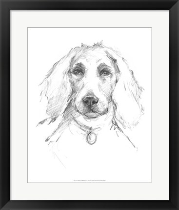 Framed Constant Companion III Print