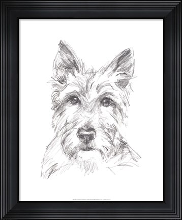 Framed Constant Companion IV Print