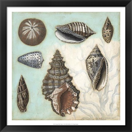 Framed Antique Shell Collage I Print