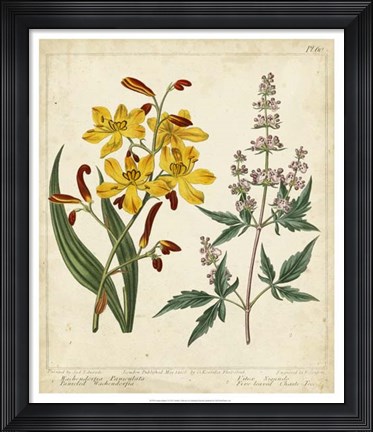 Framed Garden Display I Print