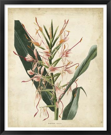 Framed Tropical Delight III Print