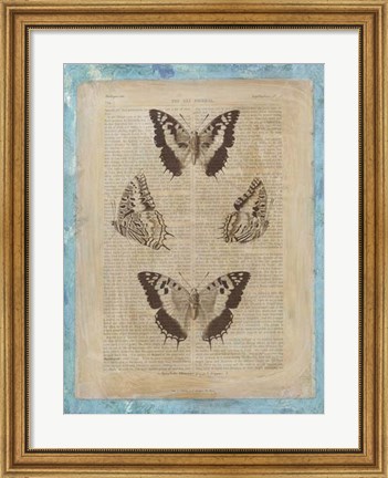 Framed Bookplate Butterflies II Print