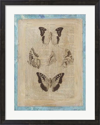 Framed Bookplate Butterflies IV Print