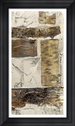 Framed Birch Bark Abstract II Print
