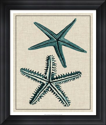 Framed Coastal Starfish I Print