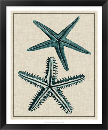 Framed Coastal Starfish I Print