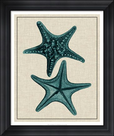 Framed Coastal Starfish II Print