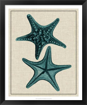 Framed Coastal Starfish II Print