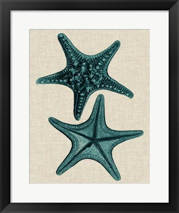 Framed Coastal Starfish II Print