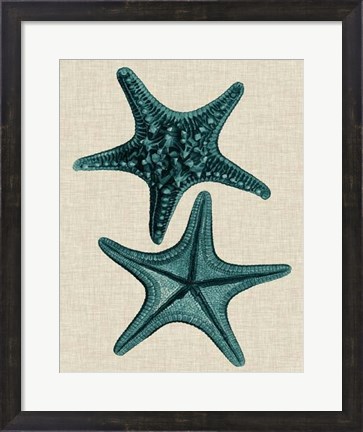 Framed Coastal Starfish II Print