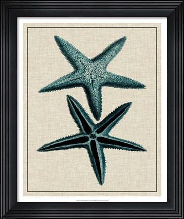 Framed Coastal Starfish III Print
