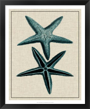 Framed Coastal Starfish III Print