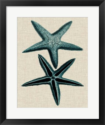 Framed Coastal Starfish III Print