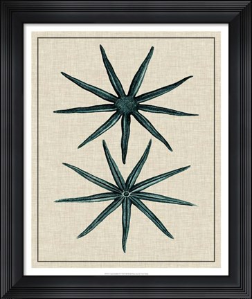 Framed Coastal Starfish IV Print