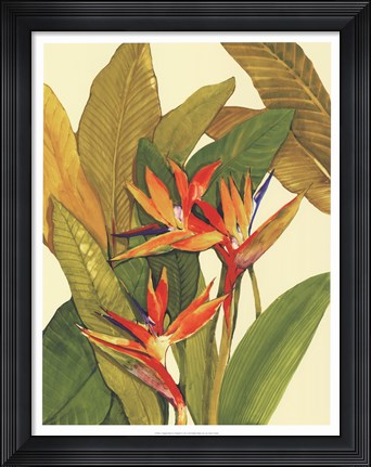 Framed Tropical Bird of Paradise Print
