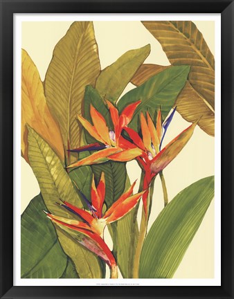 Framed Tropical Bird of Paradise Print