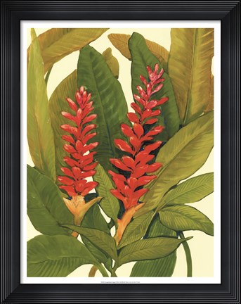 Framed Tropical Red Ginger Print