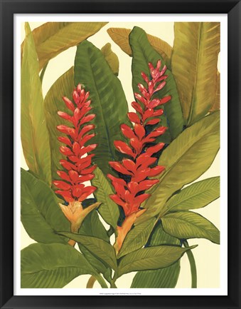 Framed Tropical Red Ginger Print