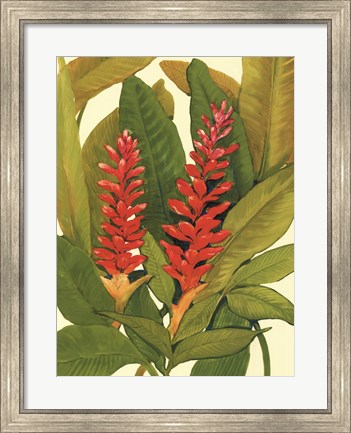 Framed Tropical Red Ginger Print