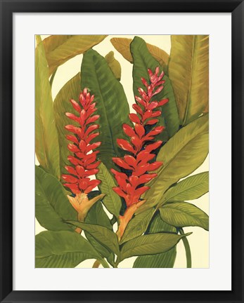 Framed Tropical Red Ginger Print