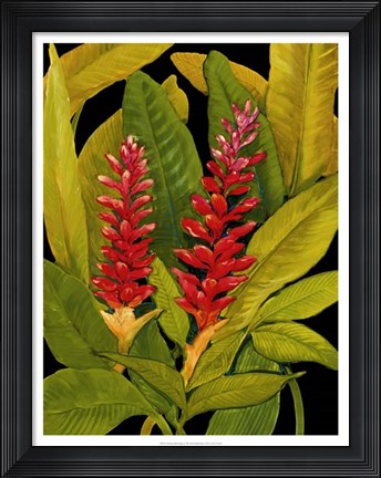 Framed Dramatic Red Ginger Print