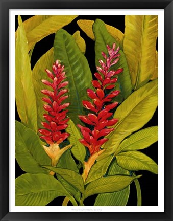 Framed Dramatic Red Ginger Print