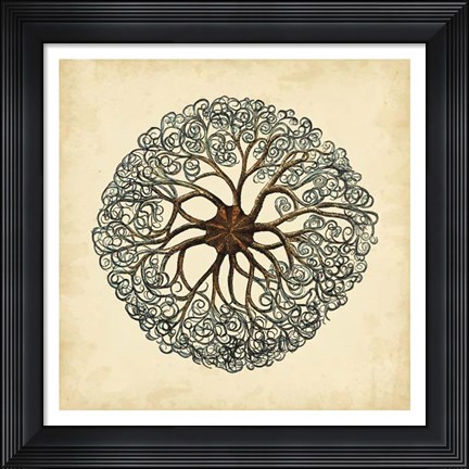 Framed Gems of the Sea II Print