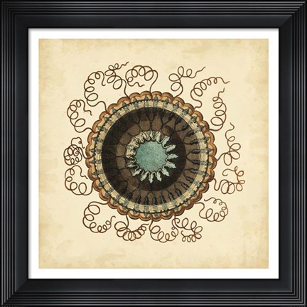 Framed Gems of the Sea IV Print