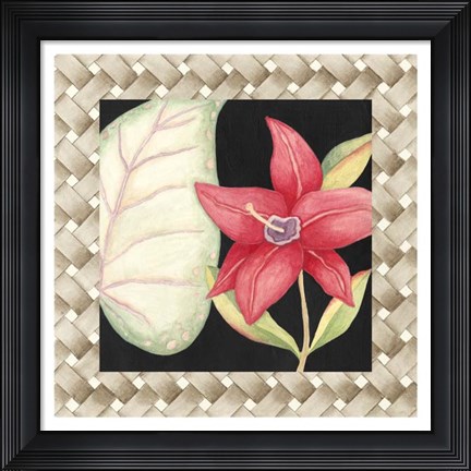 Framed Midnight Garden II Print