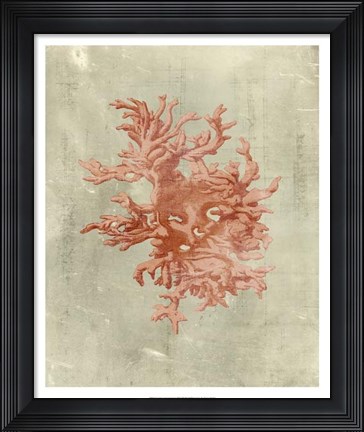 Framed Coral in Terra Cotta Print