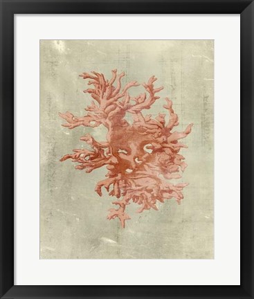 Framed Coral in Terra Cotta Print