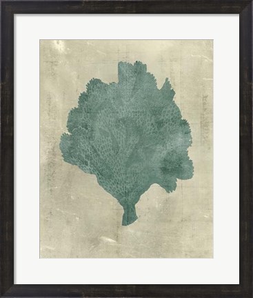Framed Coral in Teal Print