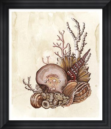 Framed Baroque Nautilus I Print