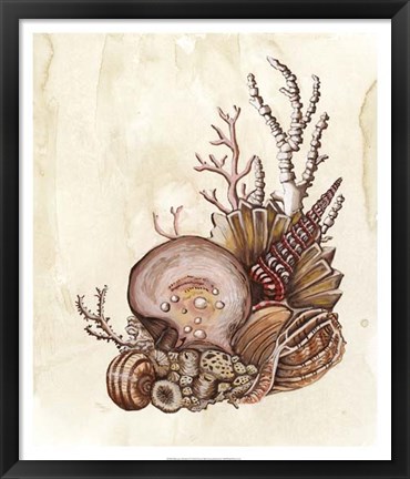 Framed Baroque Nautilus I Print