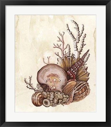 Framed Baroque Nautilus I Print