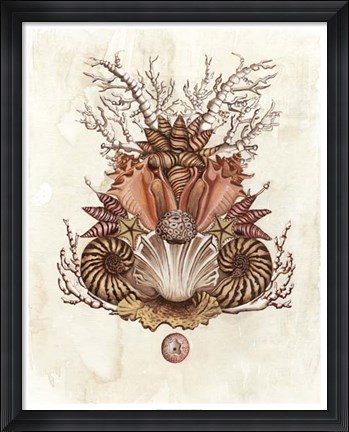 Framed Baroque Nautilus II Print