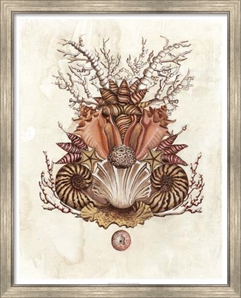Framed Baroque Nautilus II Print