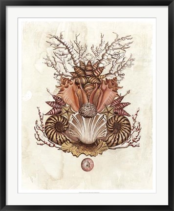 Framed Baroque Nautilus II Print