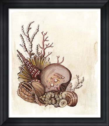 Framed Baroque Nautilus III Print
