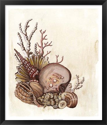 Framed Baroque Nautilus III Print