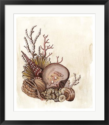 Framed Baroque Nautilus III Print