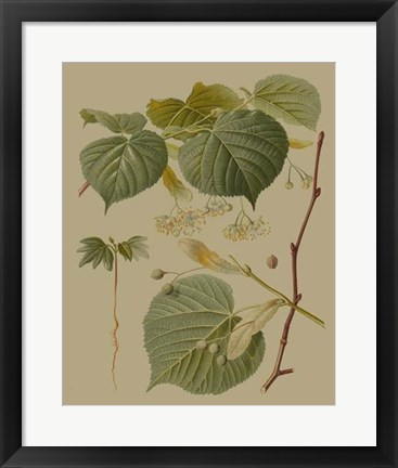 Framed Forest Foliage I Print