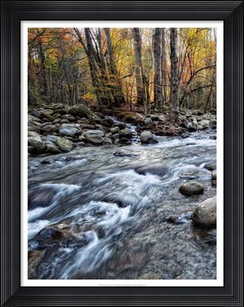 Framed Porter&#39;s Creek I Print