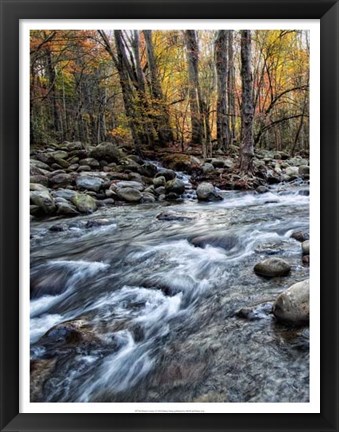 Framed Porter&#39;s Creek I Print