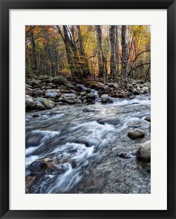 Framed Porter&#39;s Creek I Print