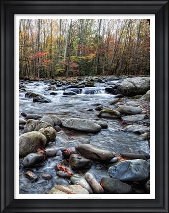 Framed Porter&#39;s Creek II Print