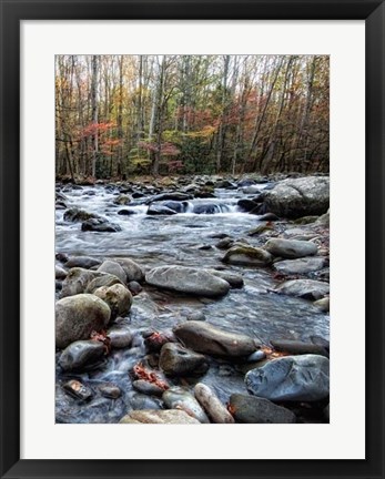 Framed Porter&#39;s Creek II Print